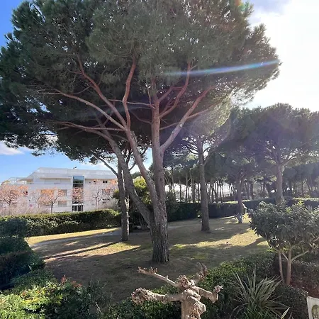 4 Pers Avec Parking A - Fr-1-716-41 La Grande-Motte